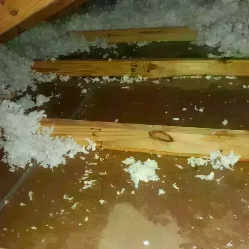 Attic Water Damage in Hartville, OH